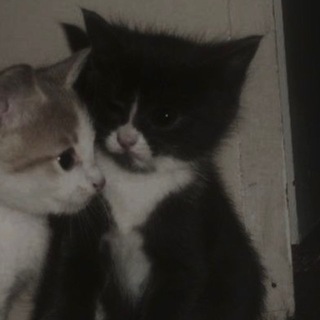 @kkilz_owm