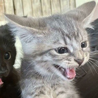 @kkkkkjdd