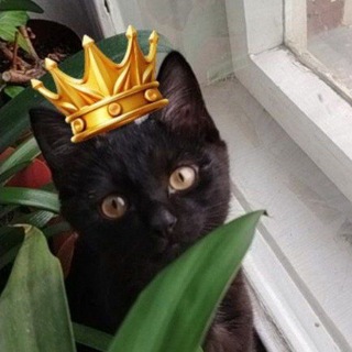 @Klik_77_lol