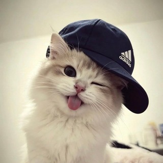 @Klocker_official