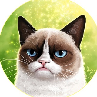 @know_smth