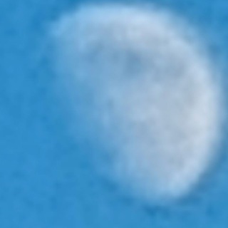 @knowsneer