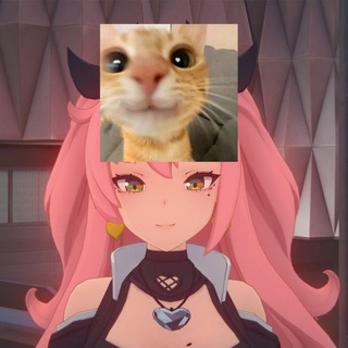 @komi_mussss