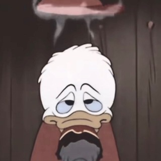 @kor24and8