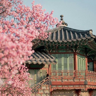 @korean_vcb