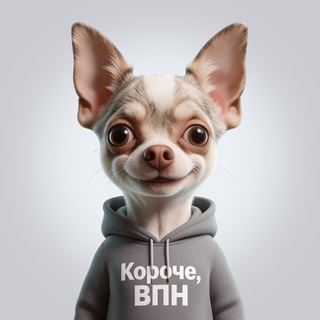@koroche_vpn