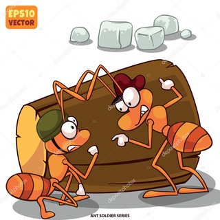 KOROED_LiFe Каркасные дома