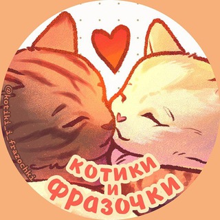 котики и фразочки 🧡