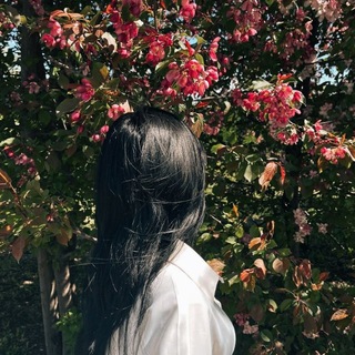 @Kous_ki