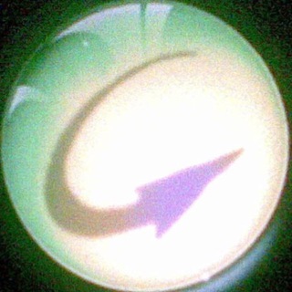 @kpacu8osupport