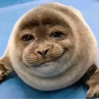 @kpuey