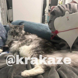 @krakaze
