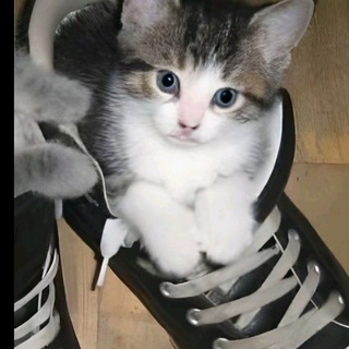 @Krasnoevino67