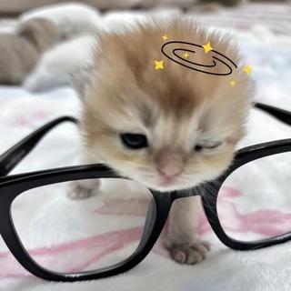 @krevv1