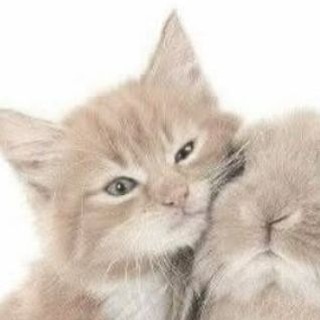 @Kuvksl4