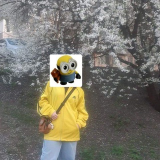 @Kuzya_315