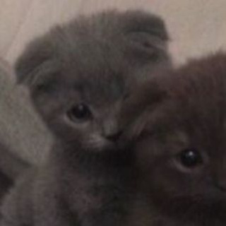 @kypetmenes
