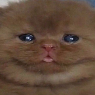 @L7keR