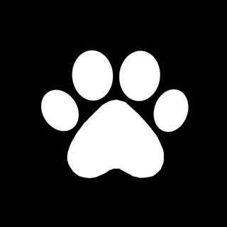 @LapVPN_bot