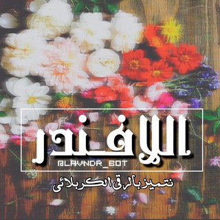 آلـྀـٓــلآڤـنۨدَر┇♪