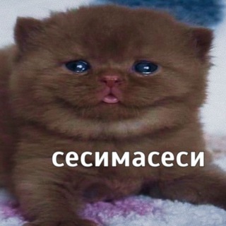 @LAZYY1442