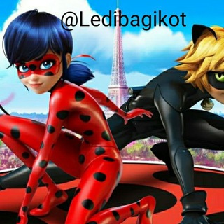 @ledibagikot