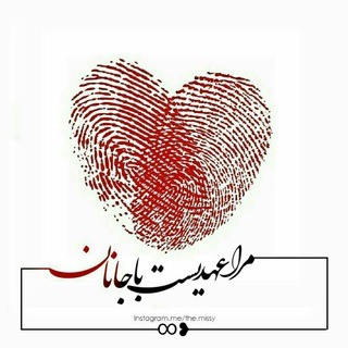 @leili_nameh