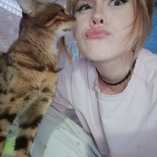 @leowowpp