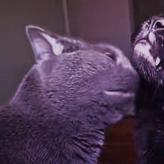 @Ler4eg_CatNap