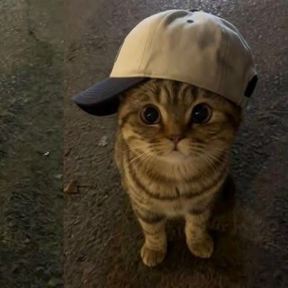 @lesmm