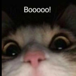 @lflll