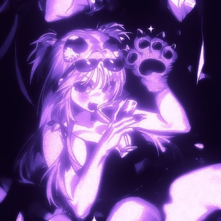 @Light_meowZzz