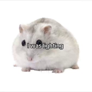 ʙlᴏʍ ʙlᴏʍ