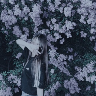@lin0_2