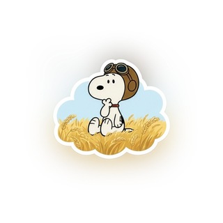 @lincolnguang