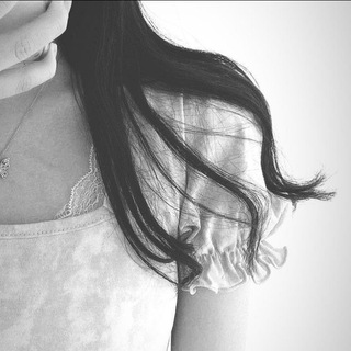 @lipp_com