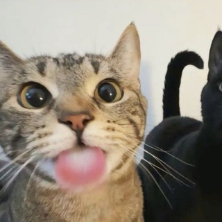 @ll_s0ren
