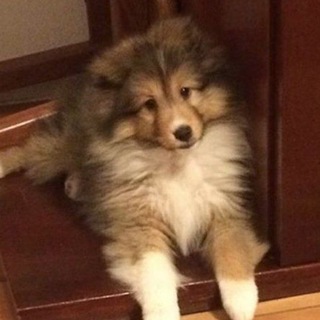 @lol_rqw