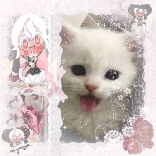 @Loli_meowl