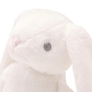 @loribunnytti