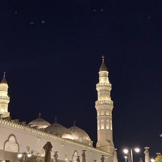 نلفر✨