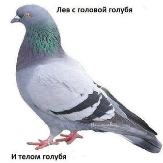 @LouJMori