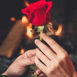 @love_and_feelings_quotes