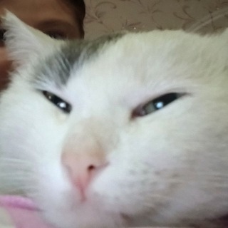 День Настюх❤️🧚‍♀