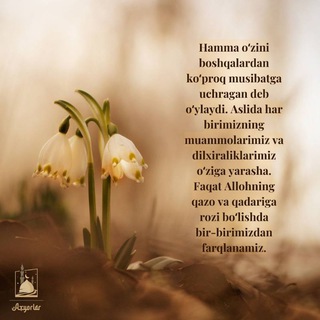 @LuckyMuslim