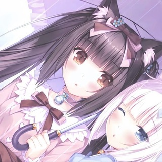 @Lusi_xd