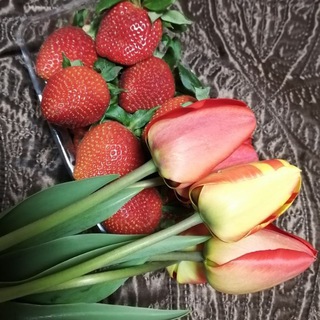 Люсьен🌷🍓🦉