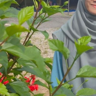 @lyamanz