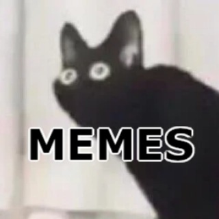 @lynposting