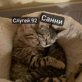 @m4rrie